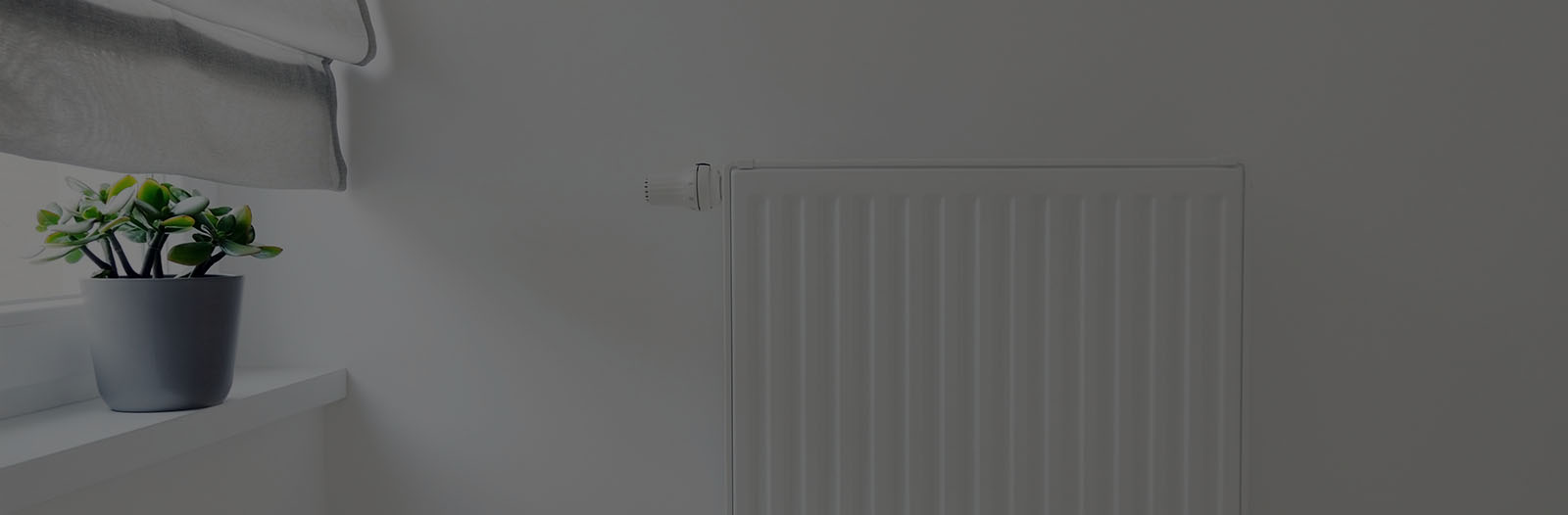 Gallery page header